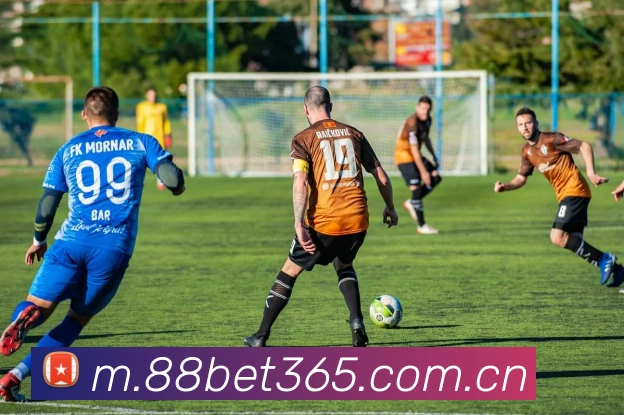 bet365中国官网服务体系
